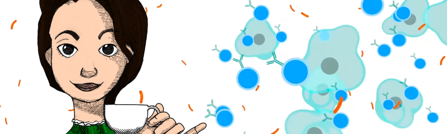 Alice in Typhoidland web page banner 1800x840px