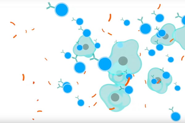 Vaccine poster image B